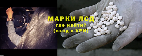 ешки Новодвинск
