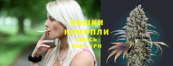 ешки Новодвинск