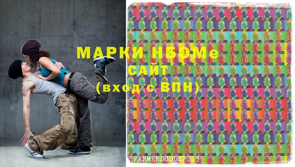 ешки Новодвинск