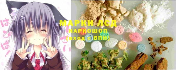 ешки Новодвинск